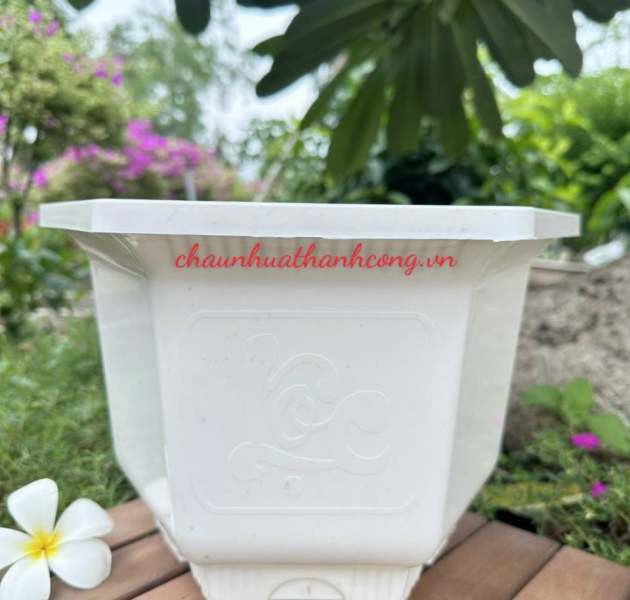 Tin tức Chậu Truyền Thống Giá Sỉ - Nhận Đặt Hàng Số Lượng Lớn