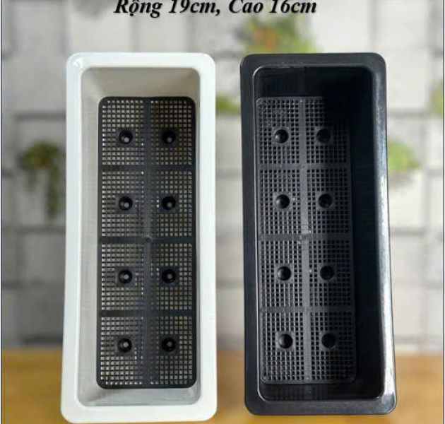 Tin tức Khay Trồng Rau Giá Sỉ Giải Pháp Tiết Kiệm Cho Nhà Vườn & Đại Lý