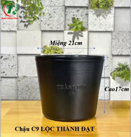Sản phẩm C9A LỘC - CHẬU THÀNH ĐẠT