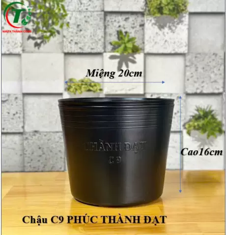 Sản phẩm C9 PHÚC - CHẬU THÀNH ĐẠT