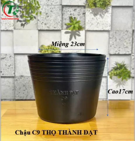 Sản phẩm C9L THỌ - CHẬU THÀNH ĐẠT