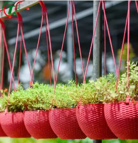 Sản phẩm CHẬU TREO ĐAN MÂY ĐỦ MÀU GIÁ SỈ