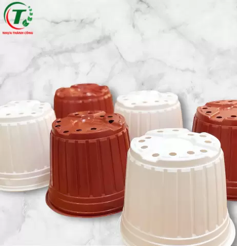 Sản phẩm Chậu có vành TTK size 200