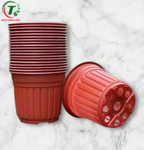 Sản phẩm Chậu có vành size 180